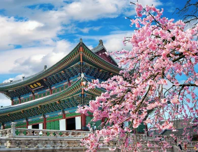 Kore'de Üniversite Okumak